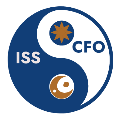 Insights Strategy Solutions LLC